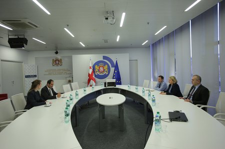 ნათია თურნავა ევროპის ენერგეტიკული გაერთიანების დირექტორს იანეს კოპაჩს შეხვდა