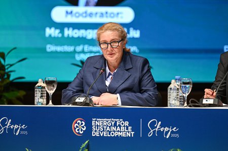 ინგა ფხალაძე: რეგიონული თანამშრომლობა აუცილებელია საერთო გამოწვევების დასაძლევად და მდგრადი ენერგეტიკული სისტემის შესაქმნელად