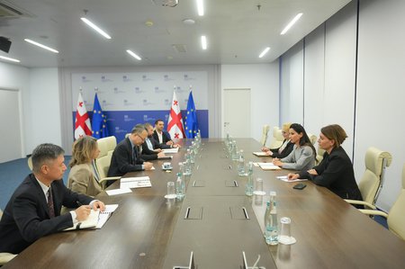 არიამ ქვრივიშვილმა აზიის განვითარების ბანკის (ADB) ვიცე-პრეზიდენტთან  შუა დერეფნის განვითარება განიხილა