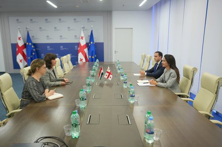 მარიამ ქვრივიშვილმა უნგრეთის ელჩთან ორმხრივი თანამშრომლობის გაღრმავების შესაძლებლობები განიხილა