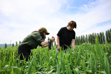 FAO-ს მხარდაჭერით, საქართველოში მცენარეთა გენეტიკური რესურსების დაცვის შესახებ დოკუმენტური ფილმი მზადდება საქართველოს სოფლის მეურნეობის სამეცნიერო-კვლევით