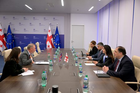 მარიამ ქვრივიშვილი გაერთიანებული სამეფოს ელჩს საქართველოში გარეტ უორდს შეხვდა