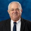გოგნაძე.png