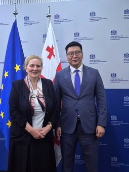 ნგა ფხალაძემ მონღოლეთის დელეგაციის წევრებს საქართველოში ენერგეტიკულ სექტორში მიმდინარე რეფორმები და საინვესტიციო პროექტები გააცნო