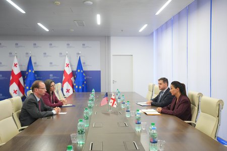 მარიამ ქვრივიშვილი აშშ - ის ელჩის მოვალეობის შემსრულებელს ალან პერსელს შეხვდა
